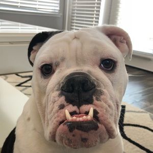 Meet your Posher, Robert